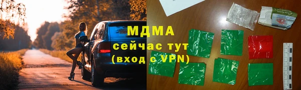 прущие грибы Пестово