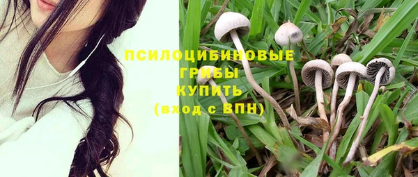 скорость Алексеевка