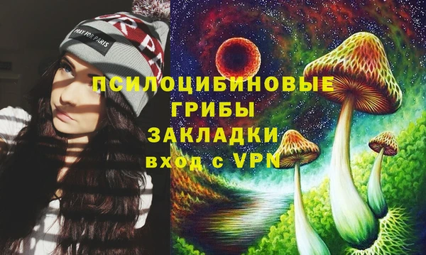дживик Алексин