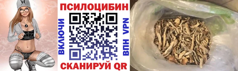 где продают Гаджиево Галлюциногенные грибы Psilocybe